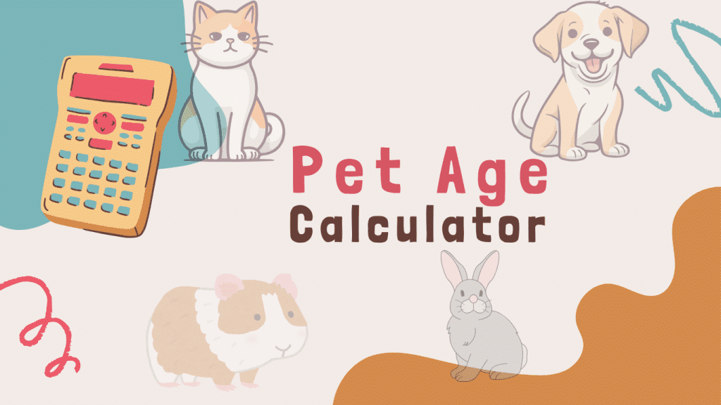 Pet age calculator